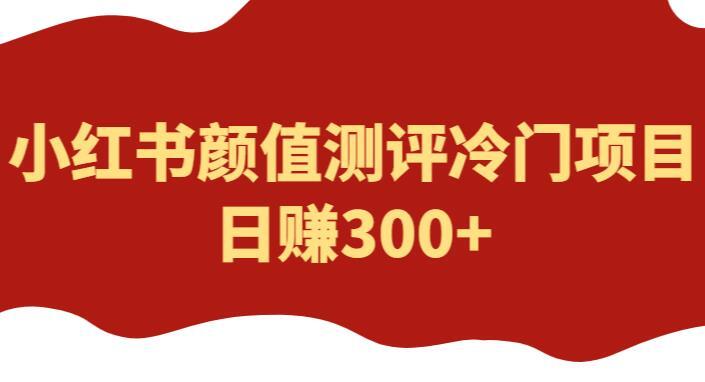 小红书颜值测评冷门项目 日赚300+-爱学资源网