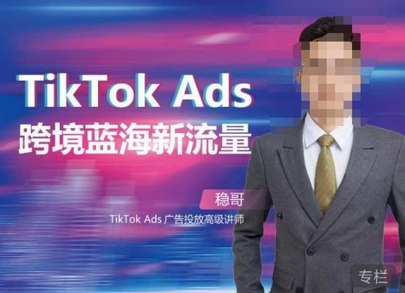 稳哥·如何投出高ROI的TikTok广告 开拓独立站卖家流量新蓝海-爱学资源网